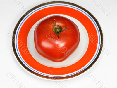 one red tomato