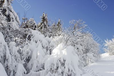 snow and sky