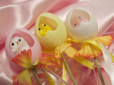 Chicks in the eggs