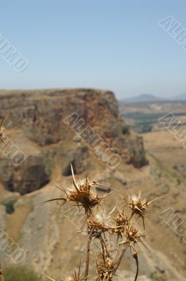 Galilee landscape