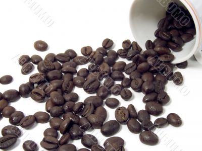 Coffee beans