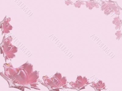 Rose background