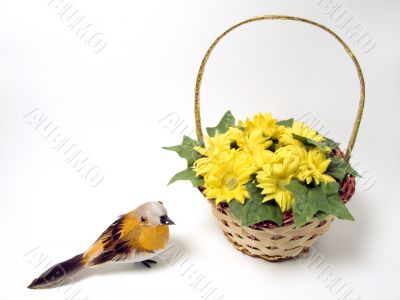 Spring