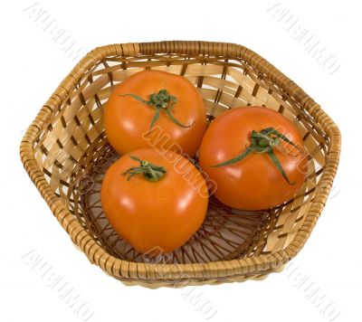 Basket with tomatoes
