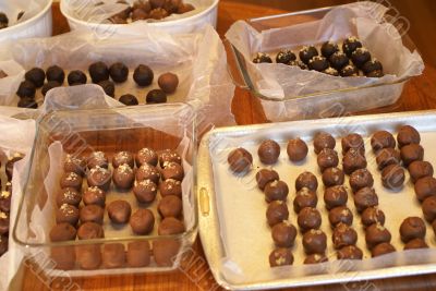Chocolate truffles in trays