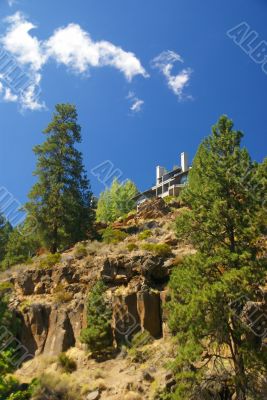 Ponderosa Pine and modern house