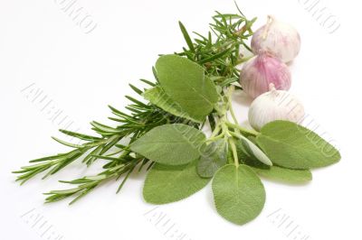 Bouquet Garni
