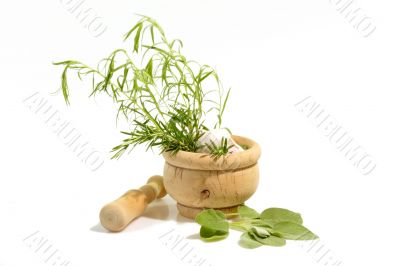 Mortar with Herbs