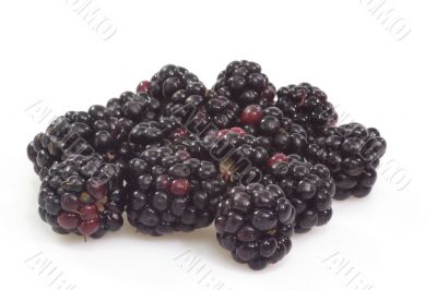 Blackberries
