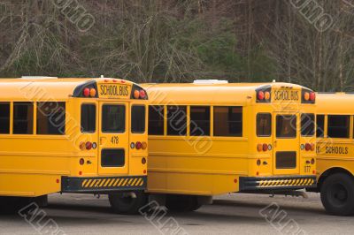 School Buses