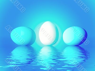 Eggs
