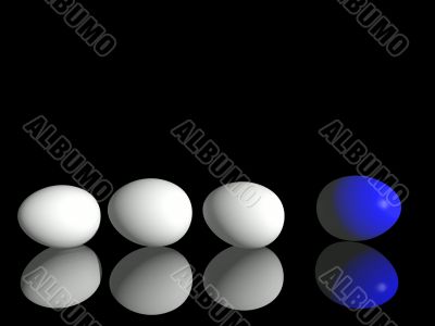  White chicken`s and eggs one blue egg.