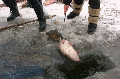 fishing - under ice