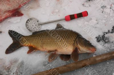 fishing - under ice