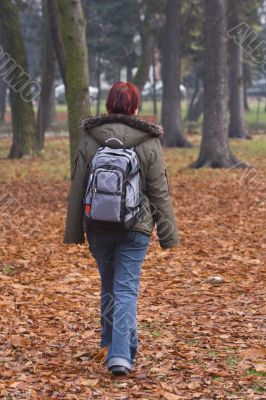 Autumn walk