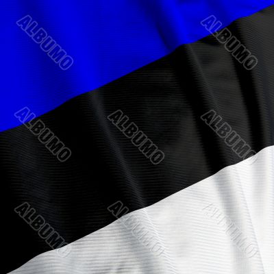 Estonian Flag Closeup