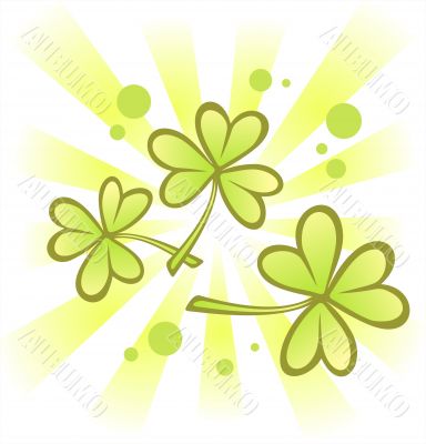 clover background