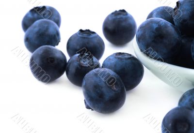 blueberries on white