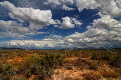 Desert Skys 2