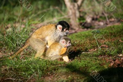 Young with mom