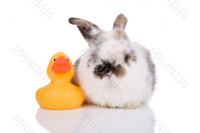 Me and my bath duck