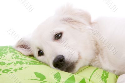 Tired