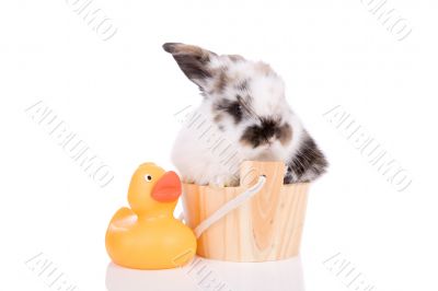 Taking a bath