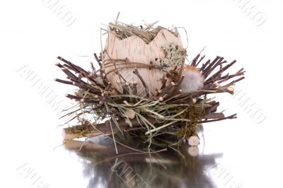 Bird nest