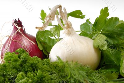 herbs and onions