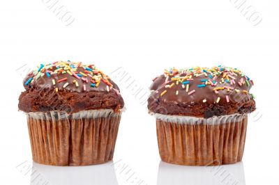 Two tasty muffin with chocolate
