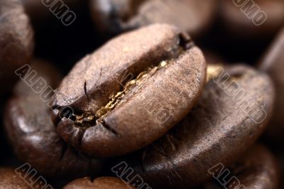 coffee grain