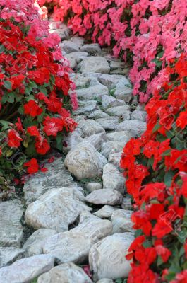 Flowers and stones