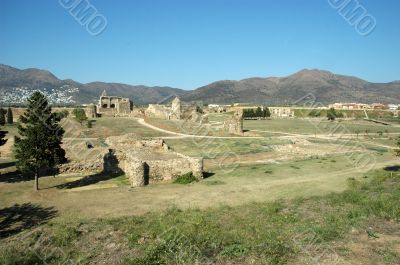 Ruins in roses