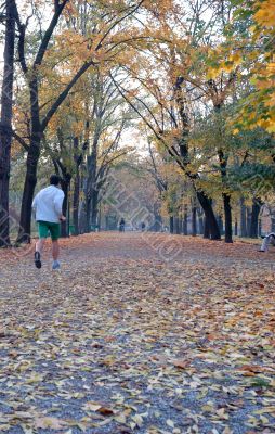 Running in autumn