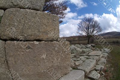 Castle ruins and tree