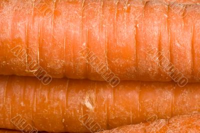 carrot
