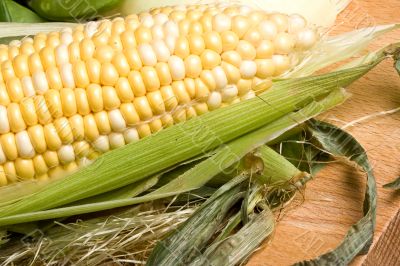 corn crazy