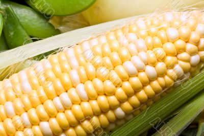 corn crazy