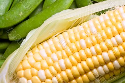 corn crazy