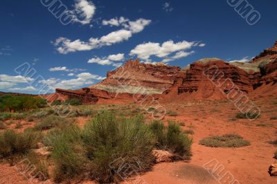 Capitol Reef National Park 2