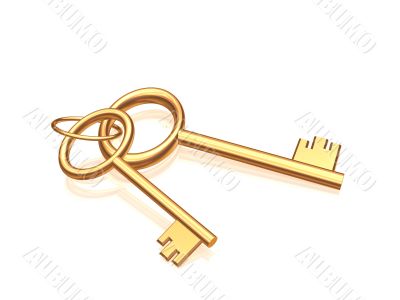 Two gold keys on a glossy white background