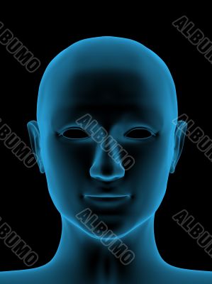 Transparent 3d head of the person - x-ray