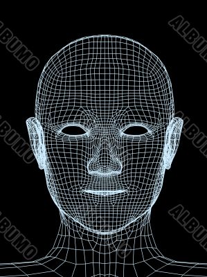 Head of the person from a  3d grid