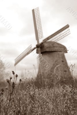 windmill