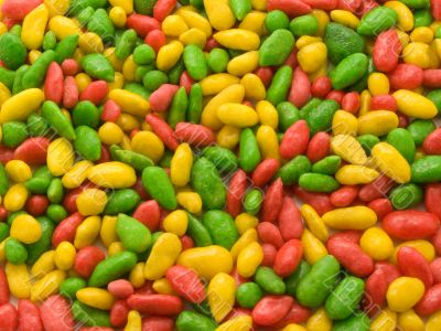 Multi-coloured seeds of a sunflower