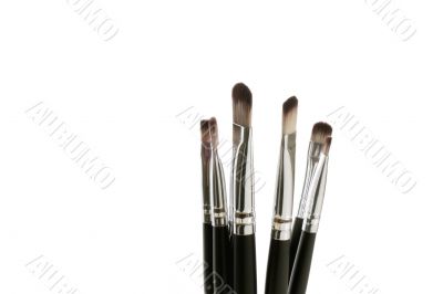 brushes