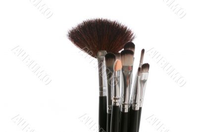 brushes
