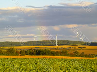 rural germany