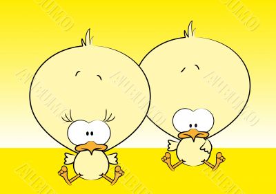 Chicks