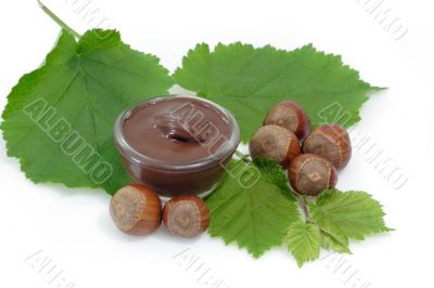 Chocolate Cream